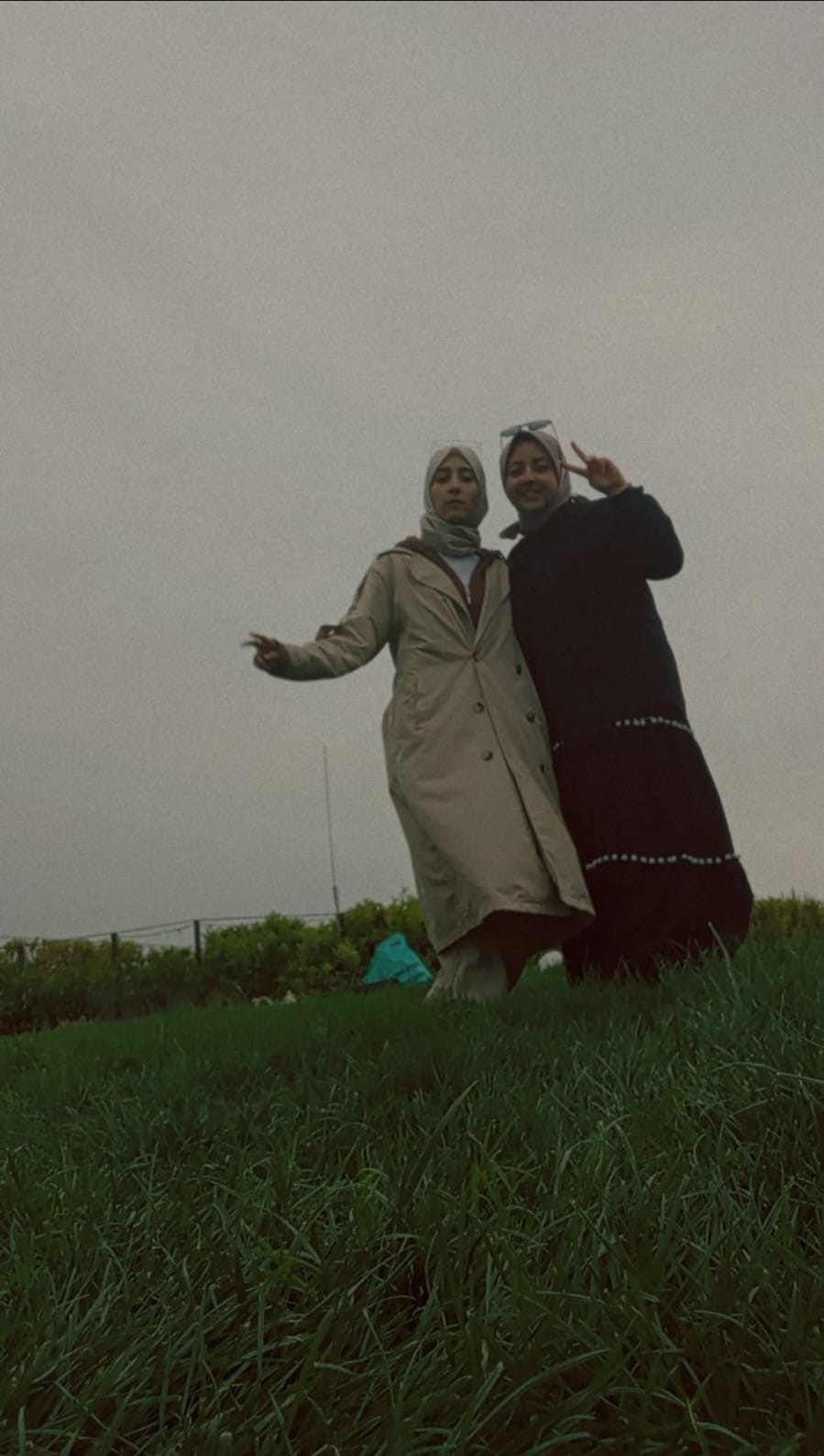 صورة المكتبة